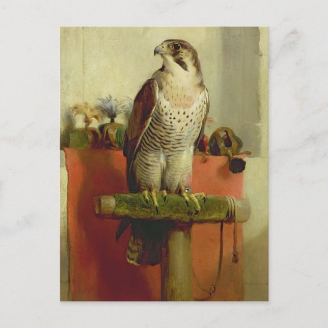 Falcon, 1837 postcard (Front)