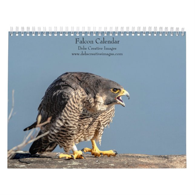 Falcon 2026 calendar (Cover)