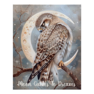 Falcon bird baby sleeping on Moon Poster