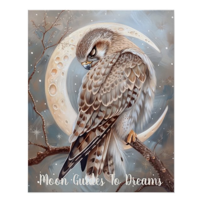 Falcon bird baby sleeping on Moon Poster (Front)