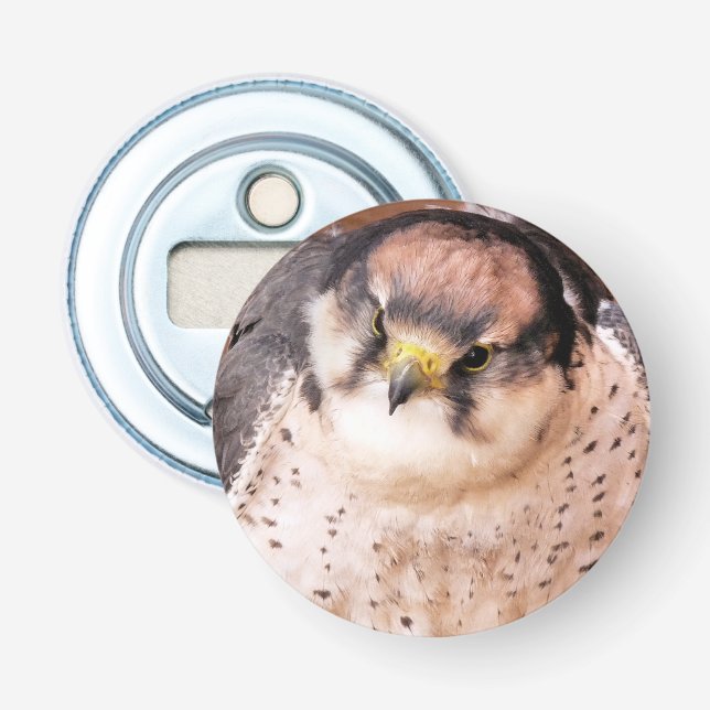 FALCON BIRD OF PREY BOTTLE OPENER (Front)