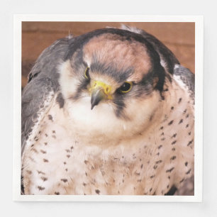 FALCON BIRD OF PREY NAPKIN