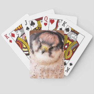FALCON BIRD OF PREY PLAYING CARDS