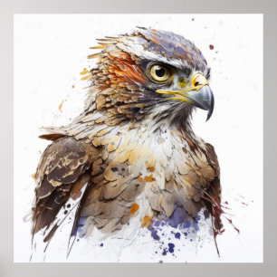 Falcon Bird Portrait Animal Painting Wildlife Free Poster