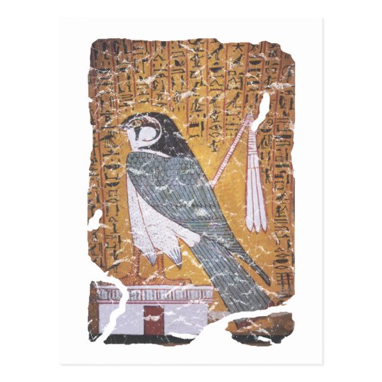 Falcon blk postcard