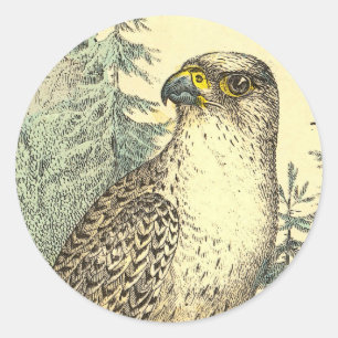 Falcon Classic Round Sticker