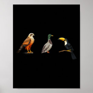 Falcon Duck Toucan Birds Subtle Anti Trump 1 Poster