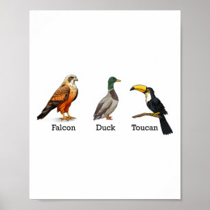 Falcon Duck Toucan Birds Subtle Anti Trump  Poster