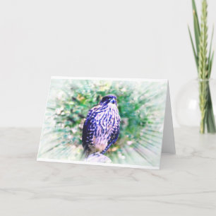 Falcon Greeting Card