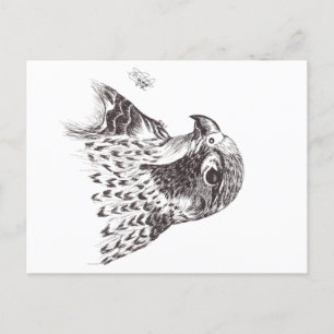 FALCON HOLIDAY POSTCARD