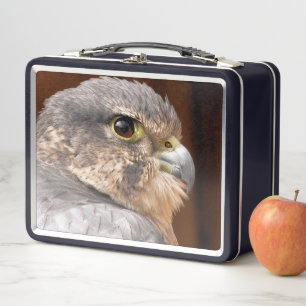 FALCON METAL LUNCH BOX