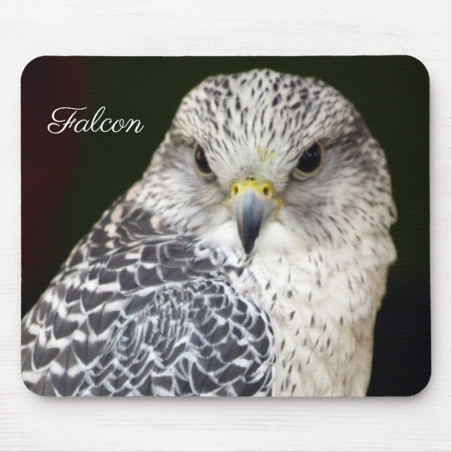 Falcon Mouse Mat (Front)