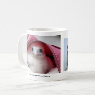 Falcon Mug