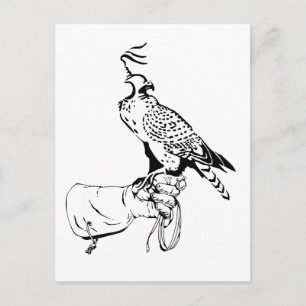 Falcon on Glove Postcard