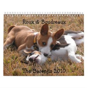 Falcon Photography Basenji Calendar 2010