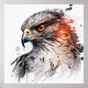 Falcon Portrait Animal Painting Wildlife Outdoors  Poster