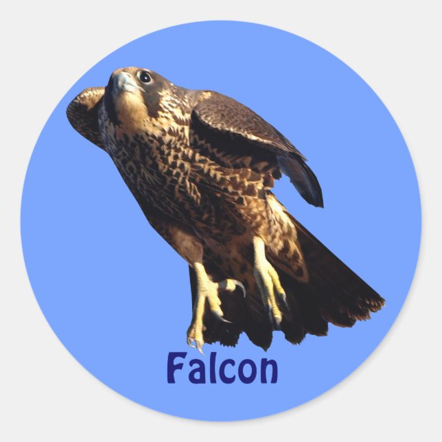 Falcon Raptor Birdlover's Wildlife Sticker (Front)