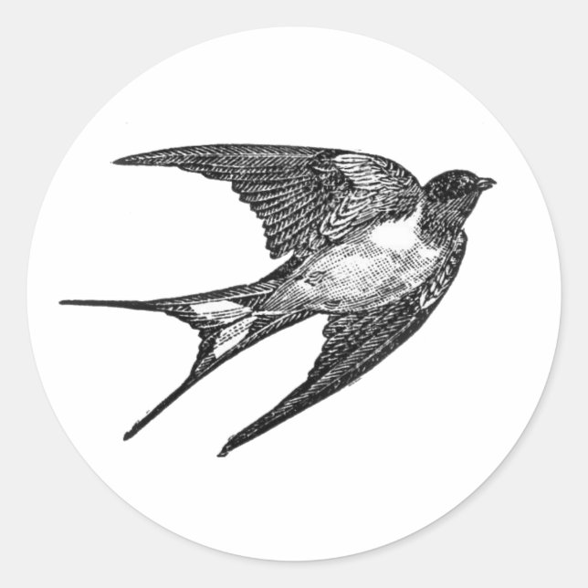 falcon sticker in white  backround (Front)