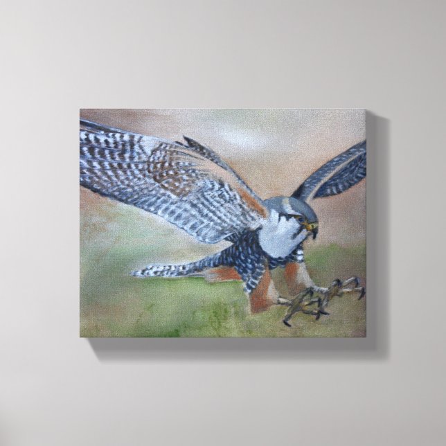 Falcon Stretched Canvas Print (Front)