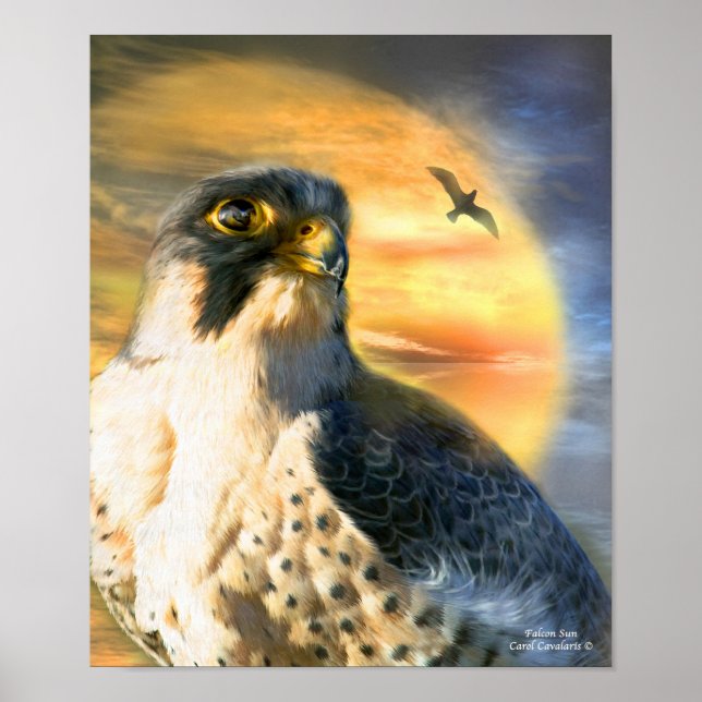 Falcon Sun Art Poster/Print Poster (Front)