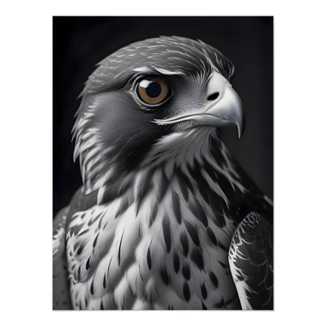Falcon Wildlife Majestic Nature Life Wallpaper Poster (Front)