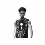 Falcon Wing Vest Standing Photo Sculpture<br><div class="desc">Photo Sculpture</div>
