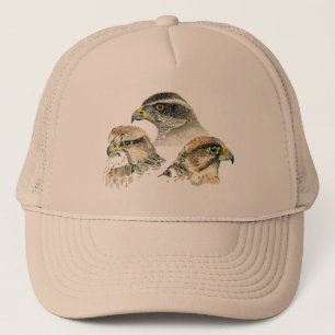 Falconry baseball cap