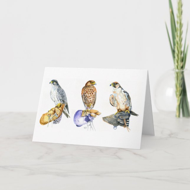 Falconry/hawking Studies Birthday Card (Front)