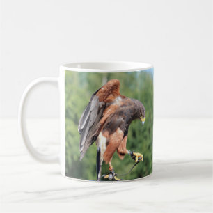 Falconry, Jessed Harris Hawk Coffee Mug