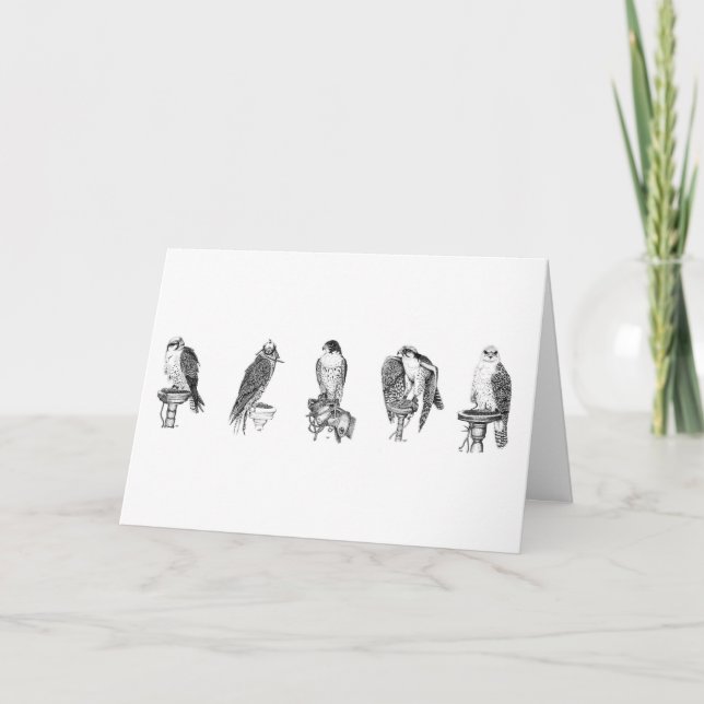 Falconry Studies Birthday Card (Front)