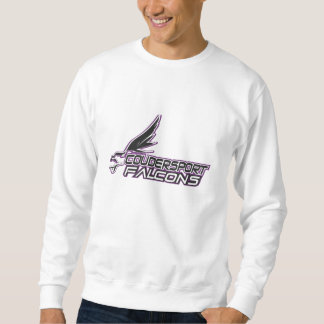 falcons sweatshirt