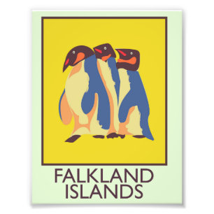 Falkland Islands Photo Print