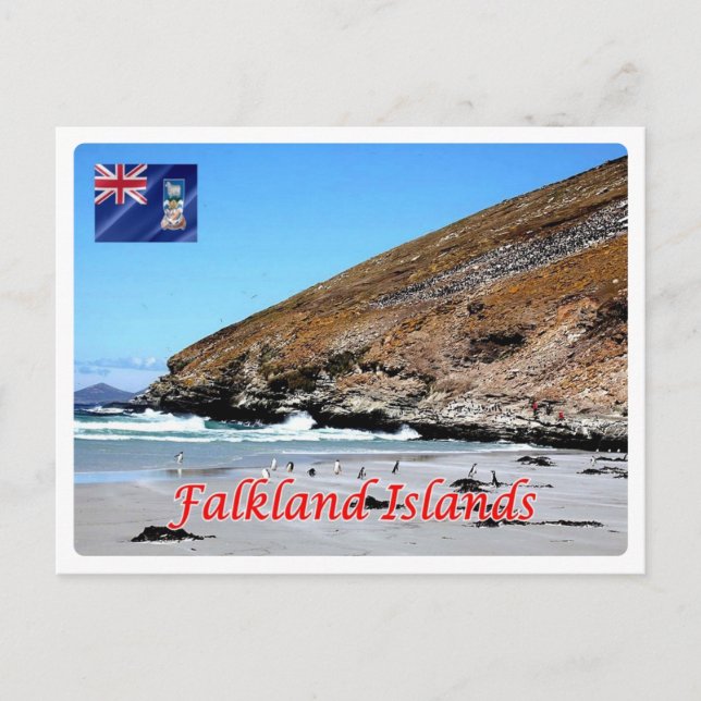 Falkland Islands - Postcard (Front)
