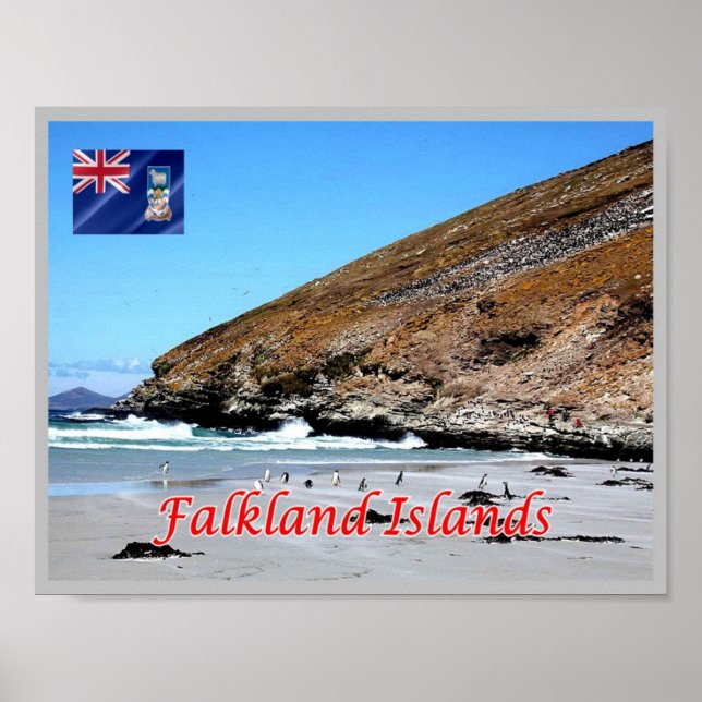Falkland Islands - Poster (Front)