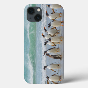 Falkland Islands. Saunders Island. Gentoo 5 iPhone 13 Case