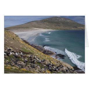Falkland Islands, West Falkland, Saunders