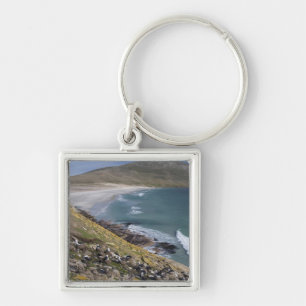 Falkland Islands, West Falkland, Saunders Key Ring