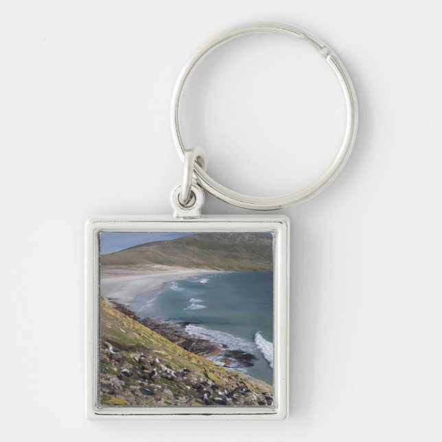 Falkland Islands, West Falkland, Saunders Key Ring (Front)