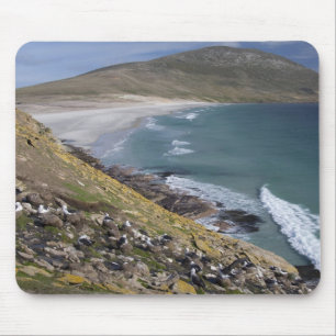 Falkland Islands, West Falkland, Saunders Mouse Mat