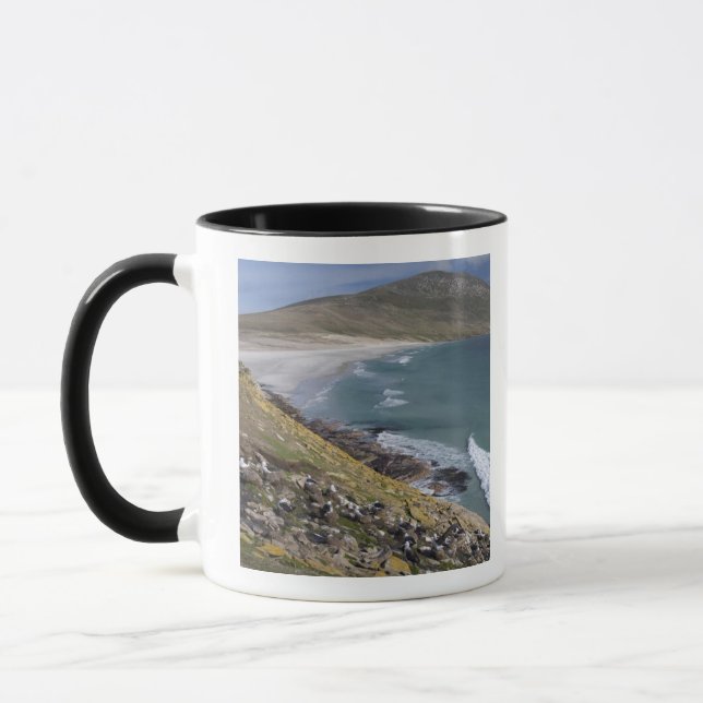 Falkland Islands, West Falkland, Saunders Mug (Left)