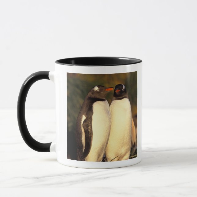 Falklands Islands. Gentoo Penguins.  (Pyroscelis Mug (Left)