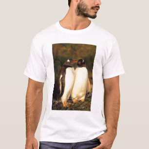 Falklands Islands. Gentoo Penguins.  (Pyroscelis T-Shirt
