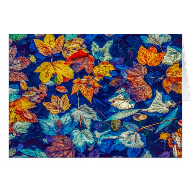 Fall (Front Horizontal)