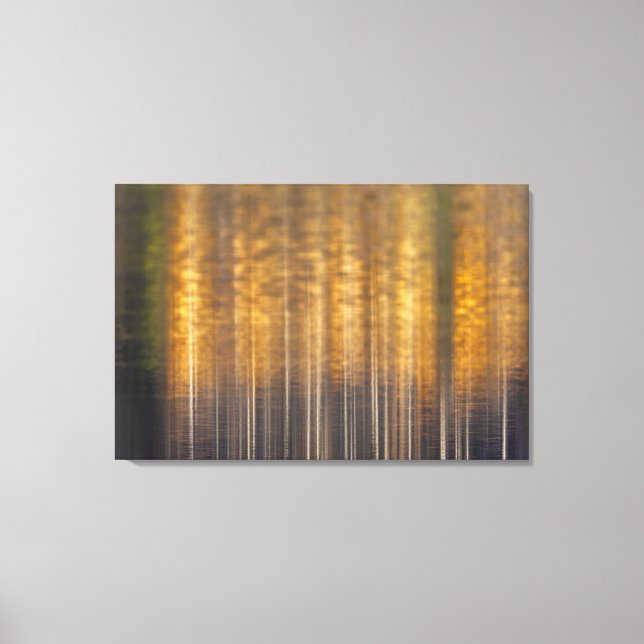 Fall Abstract Canvas Print (Front)