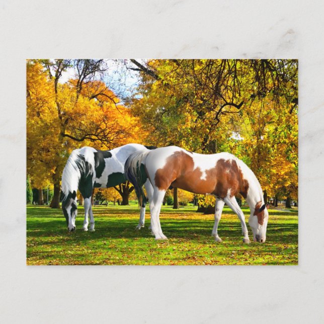 "Fall Afternoon"  Postcard (Front)