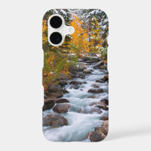 Fall along Bishop creek, California