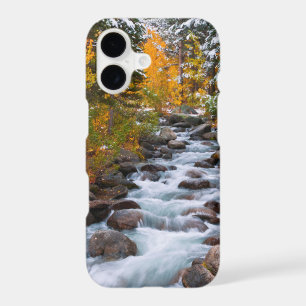 Fall along Bishop creek, California
