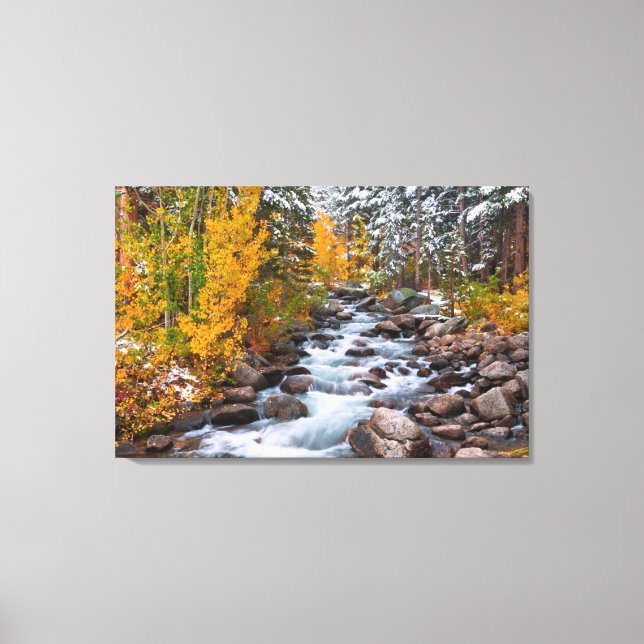 Fall along Bishop creek, California Canvas Print (Front)