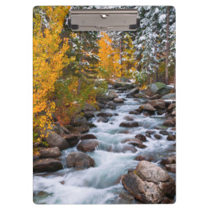 Fall along Bishop creek, California Clipboard
