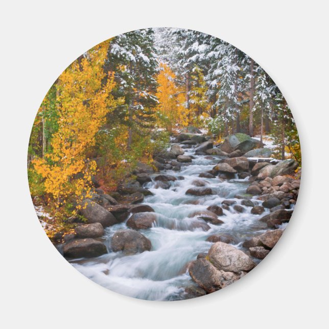 Fall along Bishop creek, California Magnet (Front)